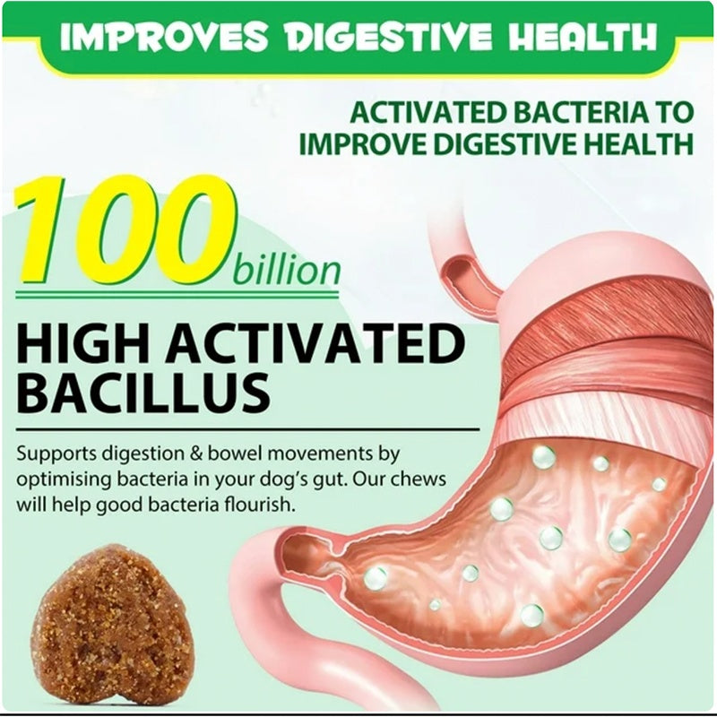 Probiotic Chews for Dogs