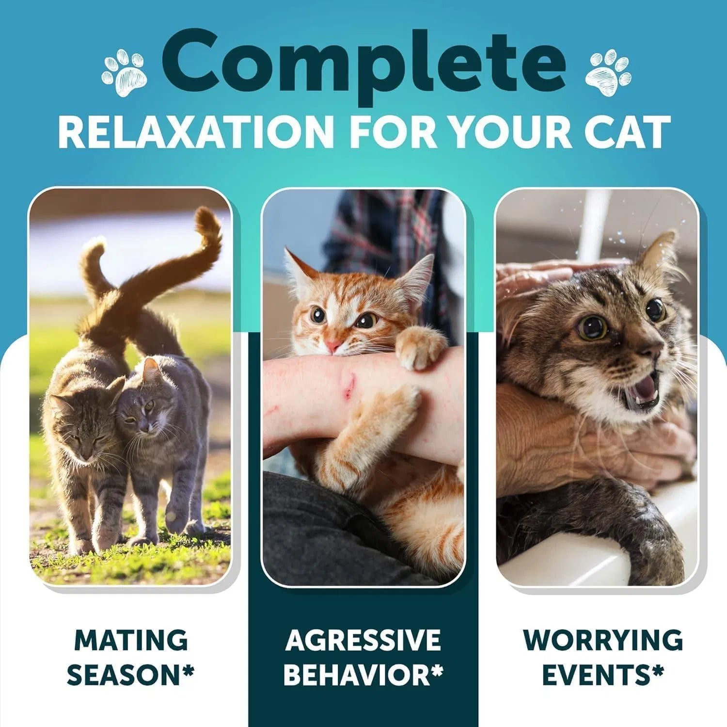 Calming Hemp Cat Treats for Stress & Anxiety Relief