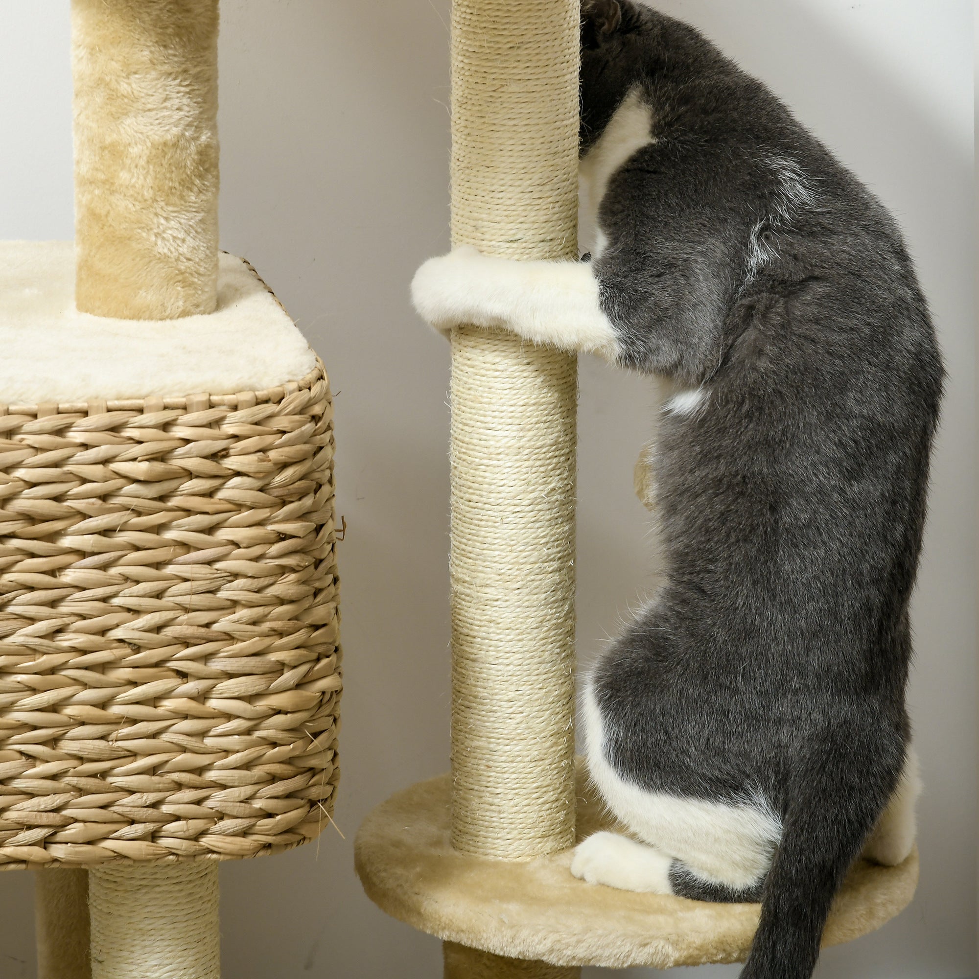 Cat Tree for Indoor Cats w/ Scratching Posts