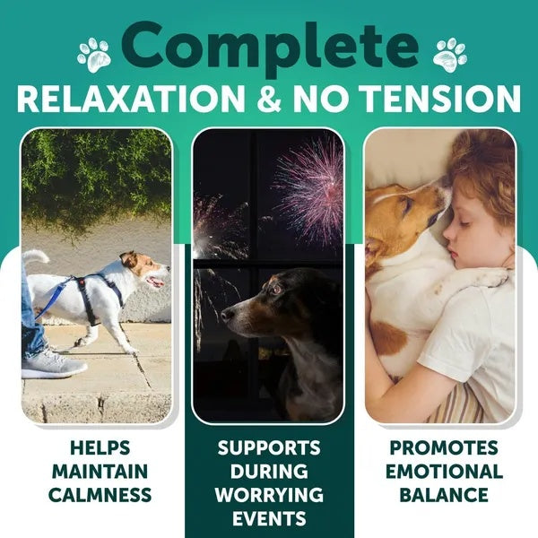 Calming Hemp Dog Chews