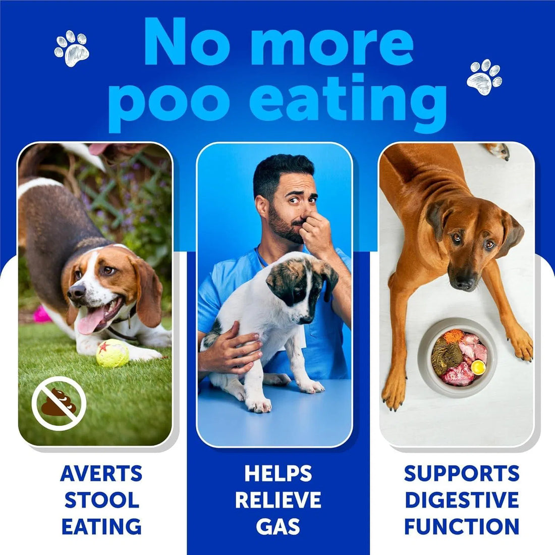 No Poo Chews