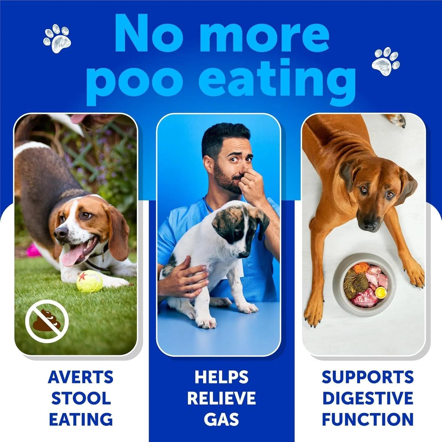 No Poo Chews