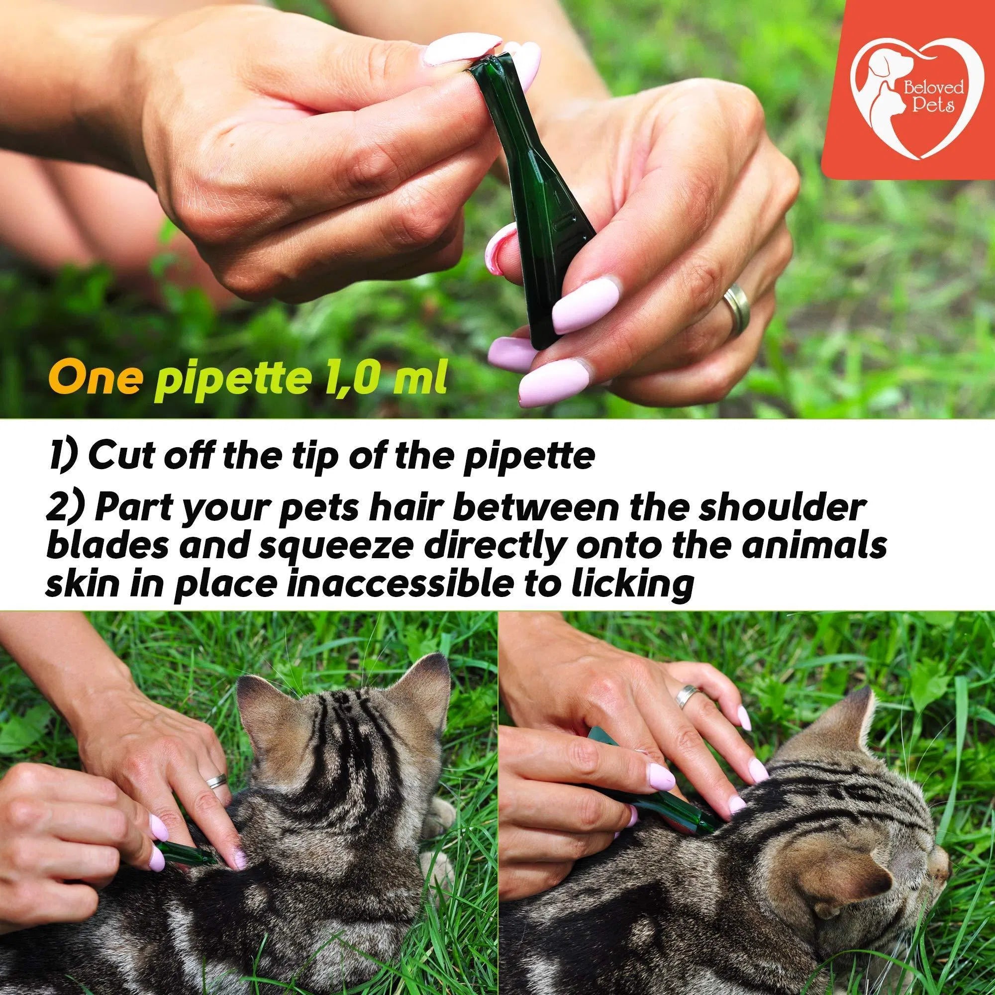 Natural Flea & Tick Prevention for Pets