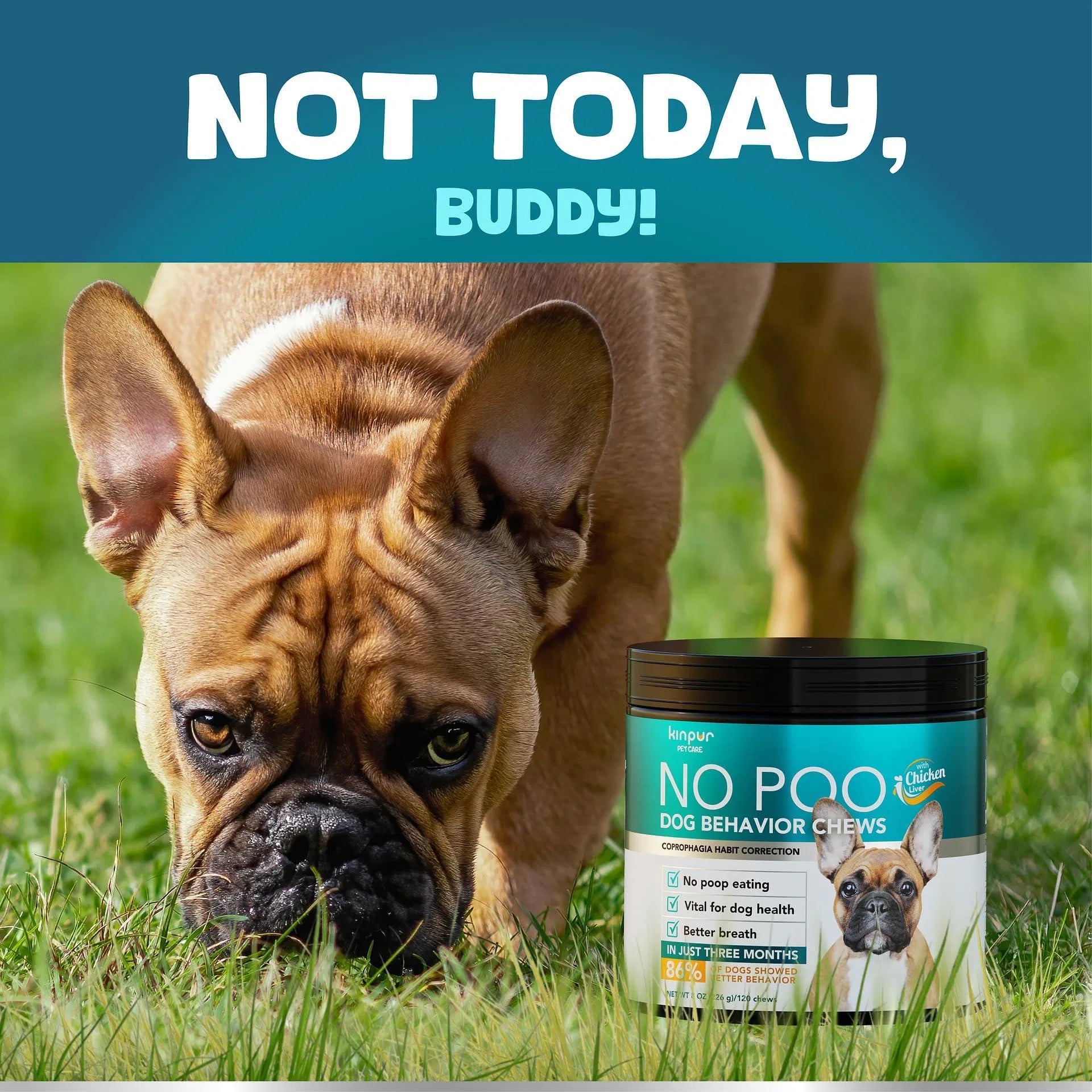 No Poo Chews for Dogs