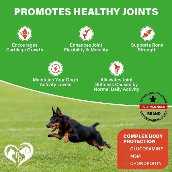 Dog Hip & Joint Treats