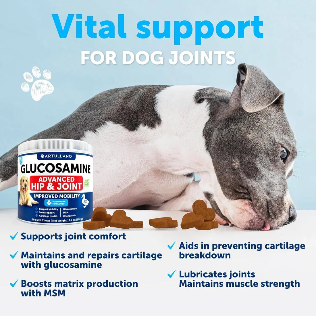 Glucosamine for Dogs: Hip & Joint Support Chews