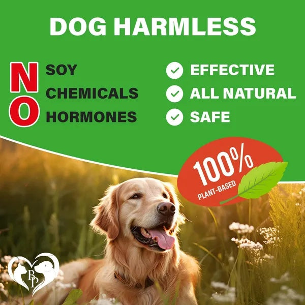 Dog Hip & Joint Treats