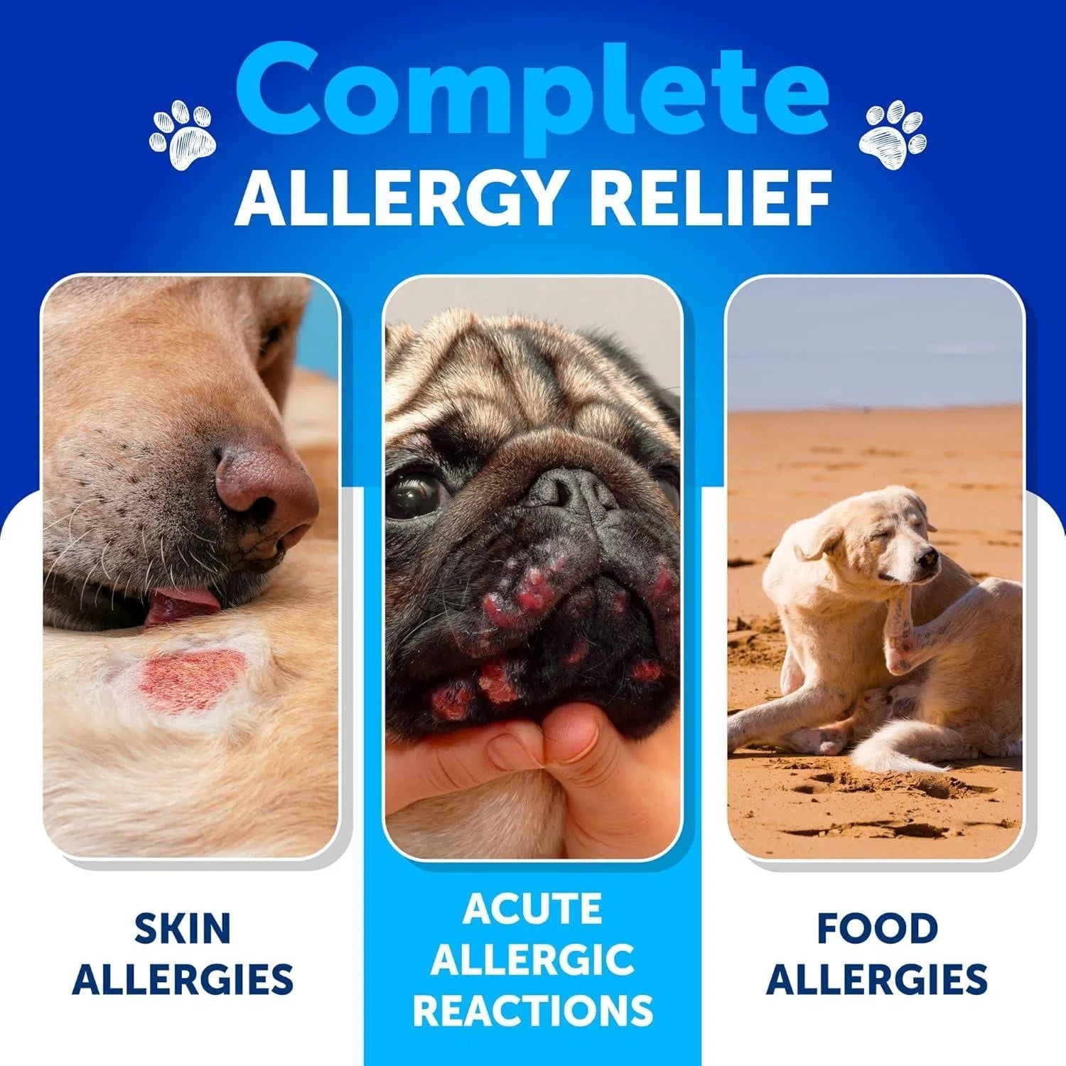 Probiotics for Dogs