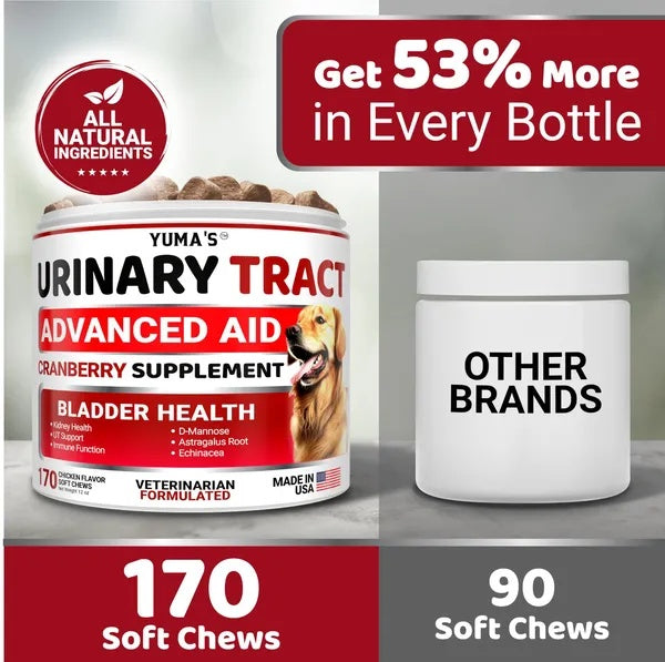 Dog UTI Support Chews