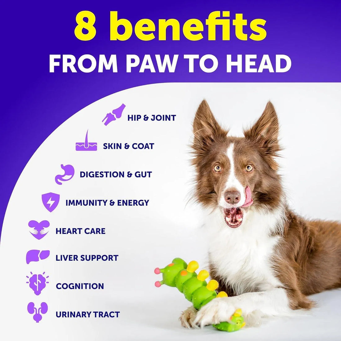 Dog Multivitamin Chews