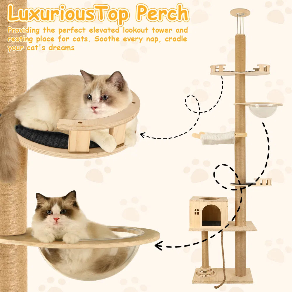 Floor to Ceiling Cat Tree with Transparent Capsule & Hammock