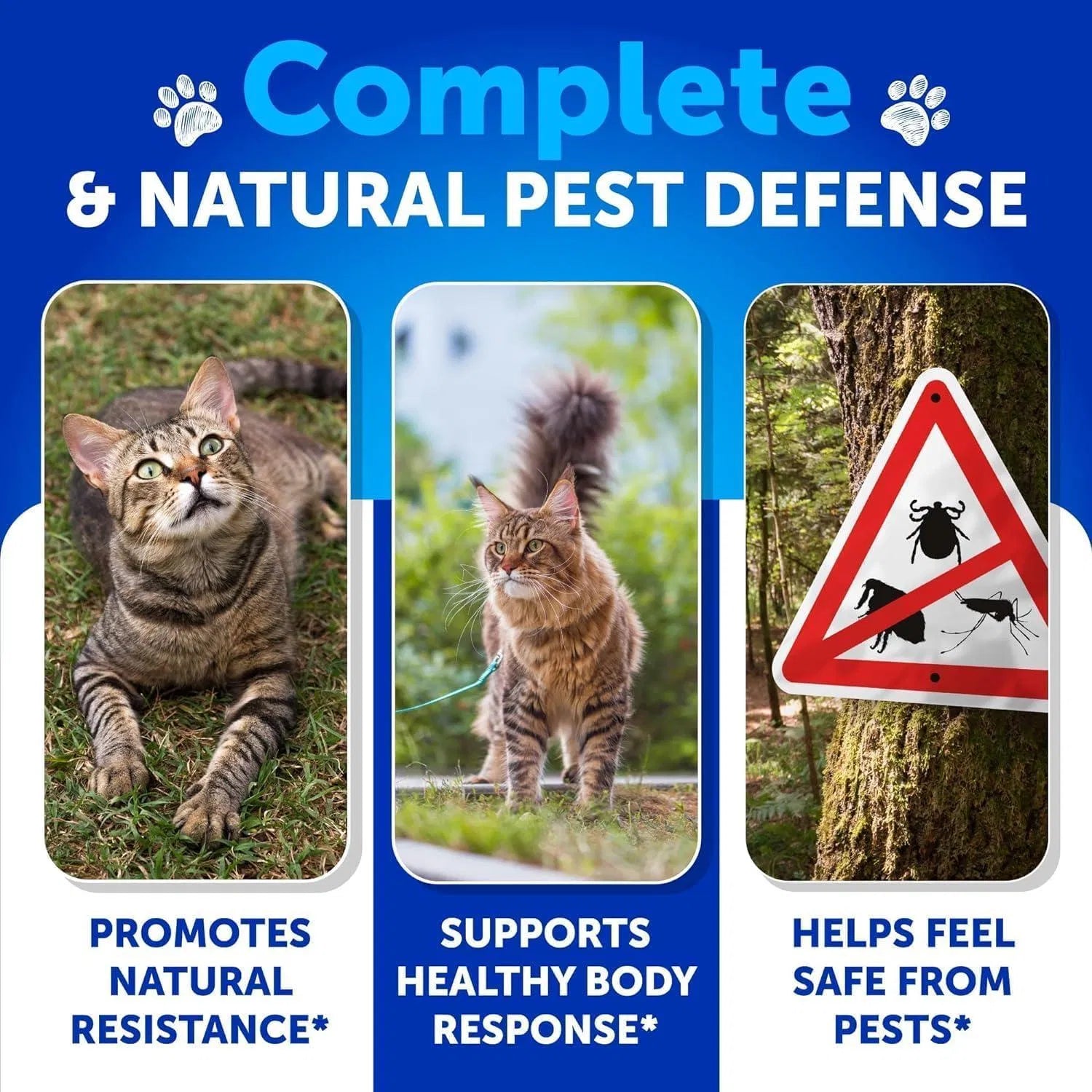 Natural Flea & Tick Prevention for Cats