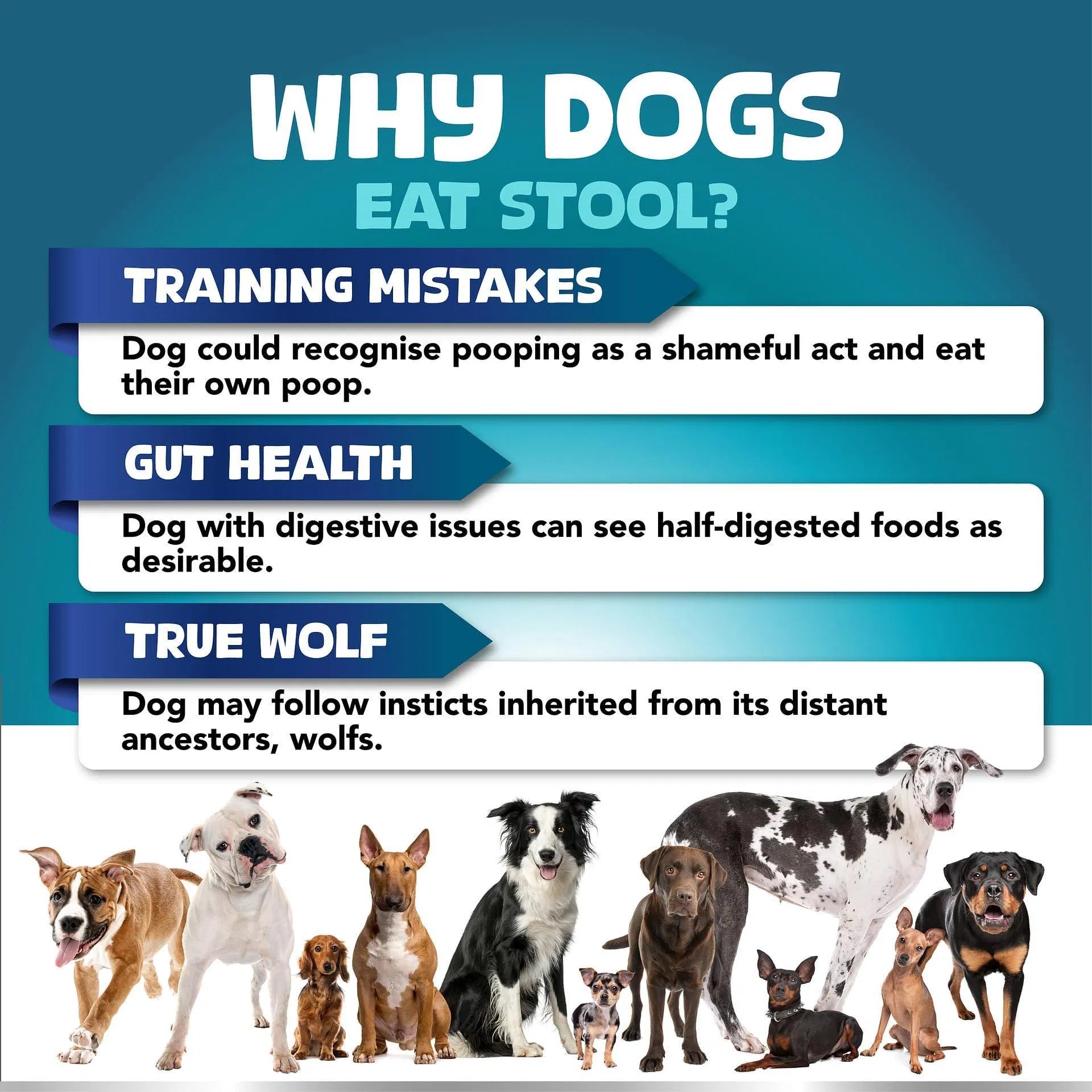 No Poo Chews for Dogs