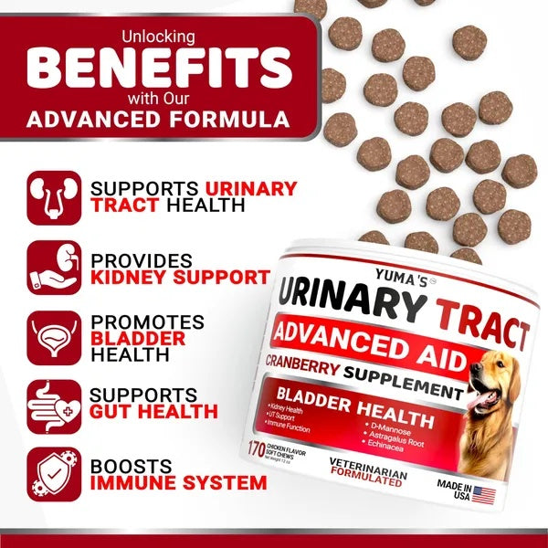 Dog UTI Support Chews