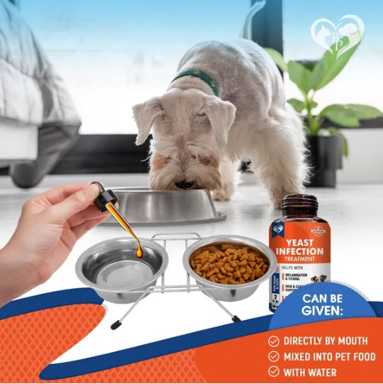 Natural Dog Yeast Infection Relief