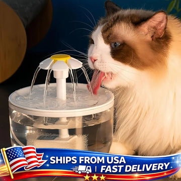 Large Automatic Pet Water Fountain