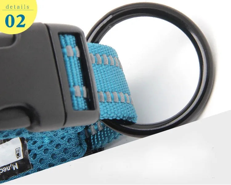 Truelove Reflective Padded Dog Collar