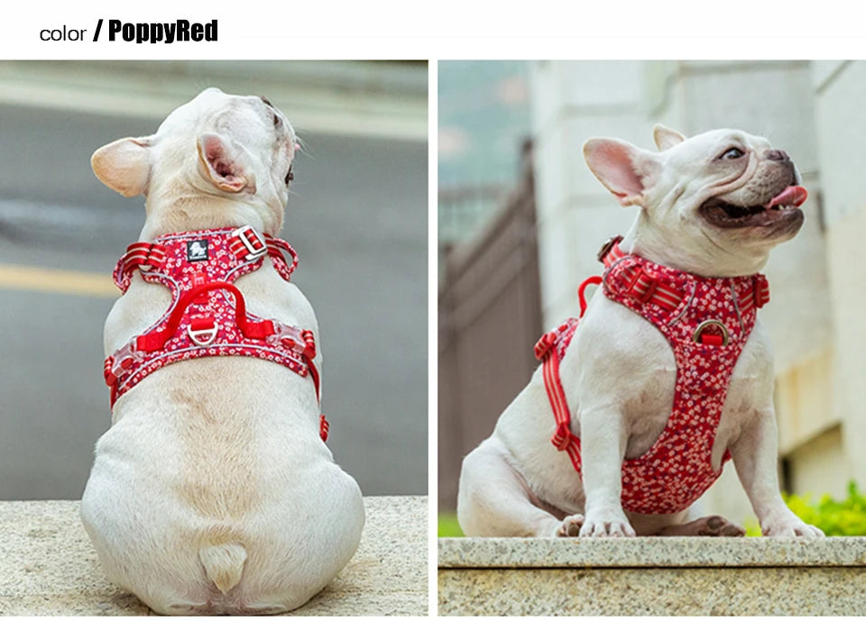 Truelove Reflective Floral Dog Harness