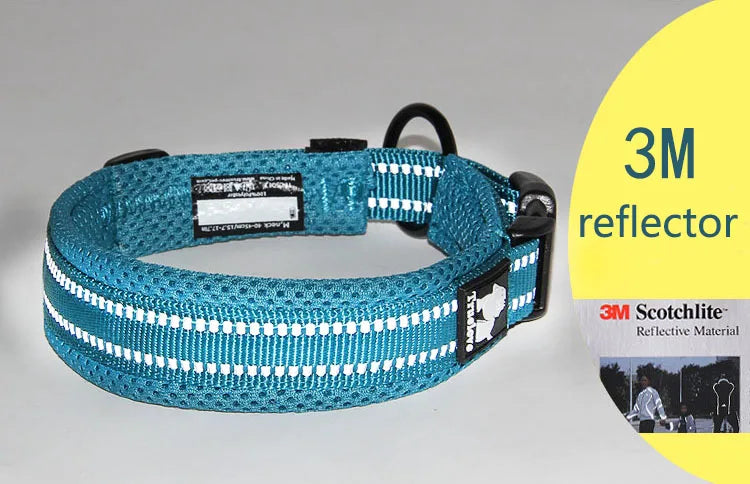 Truelove Reflective Padded Dog Collar