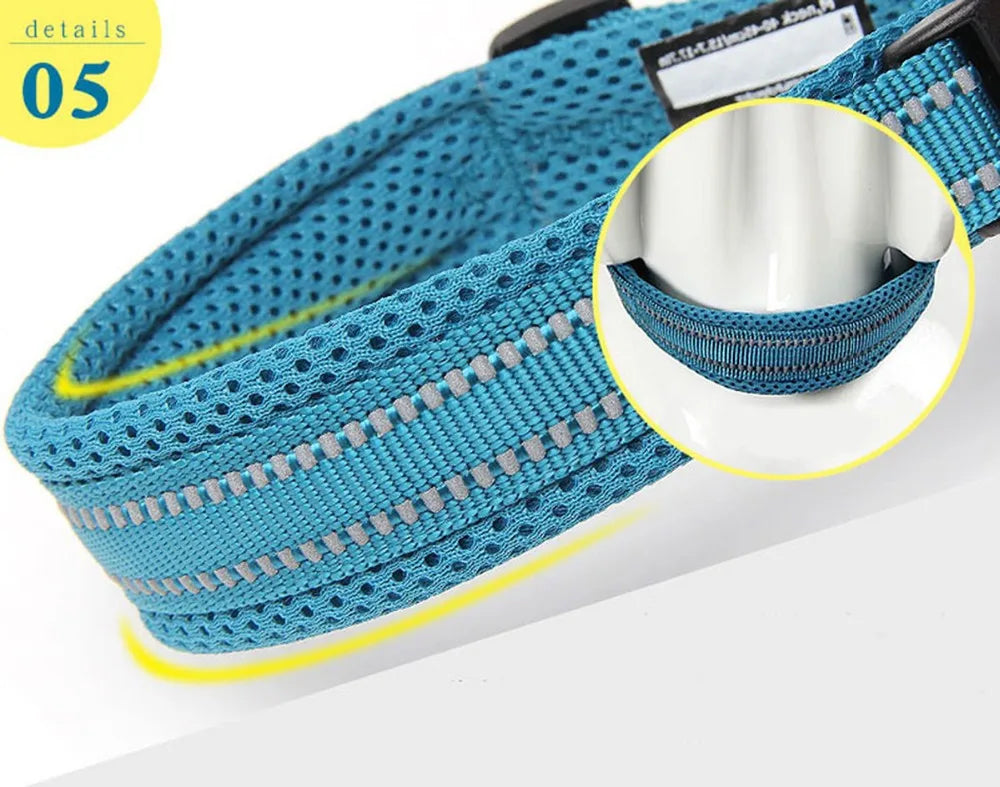 Truelove Reflective Padded Dog Collar