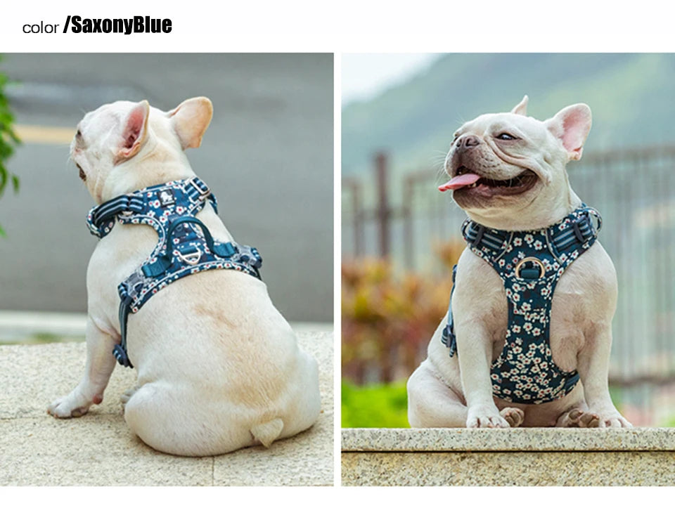 Truelove Reflective Floral Dog Harness