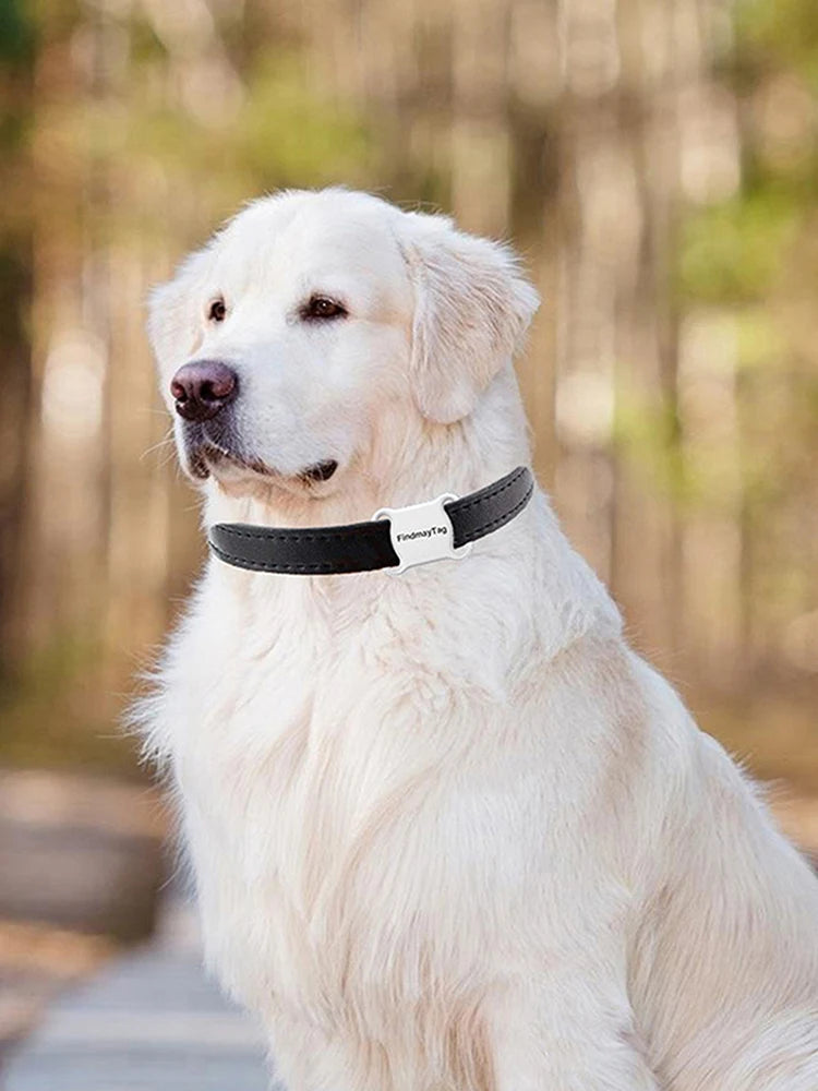Waterproof Mini Pet GPS Tracker