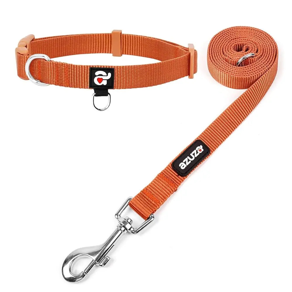 Durable Nylon Dog Collar & Leash Set