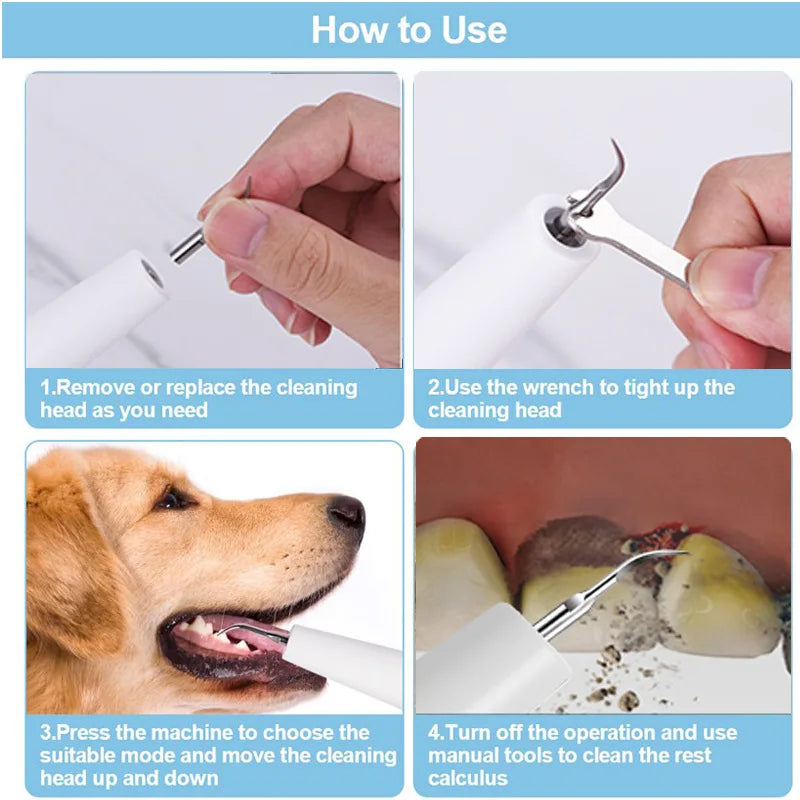 Electric Pet Ultrasonic Scaler