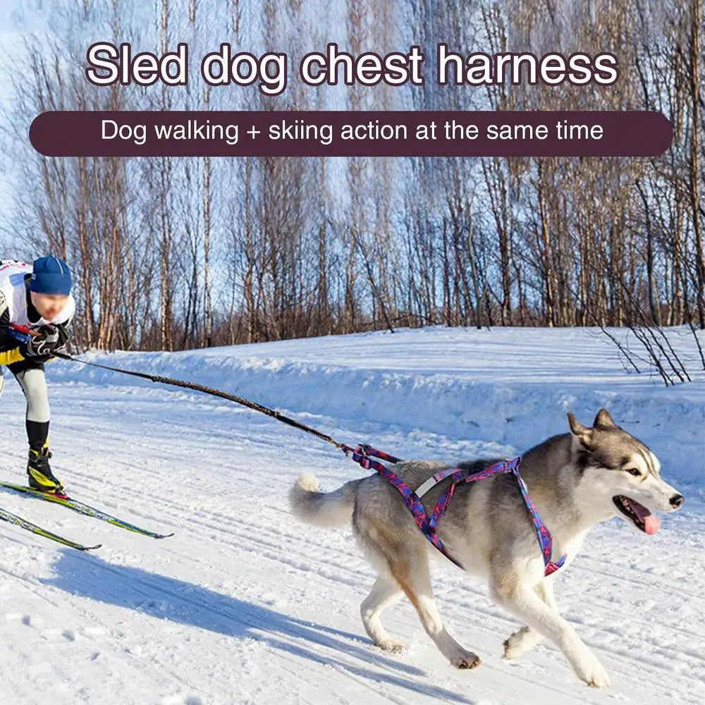 Reflective Dog Pulling Harness