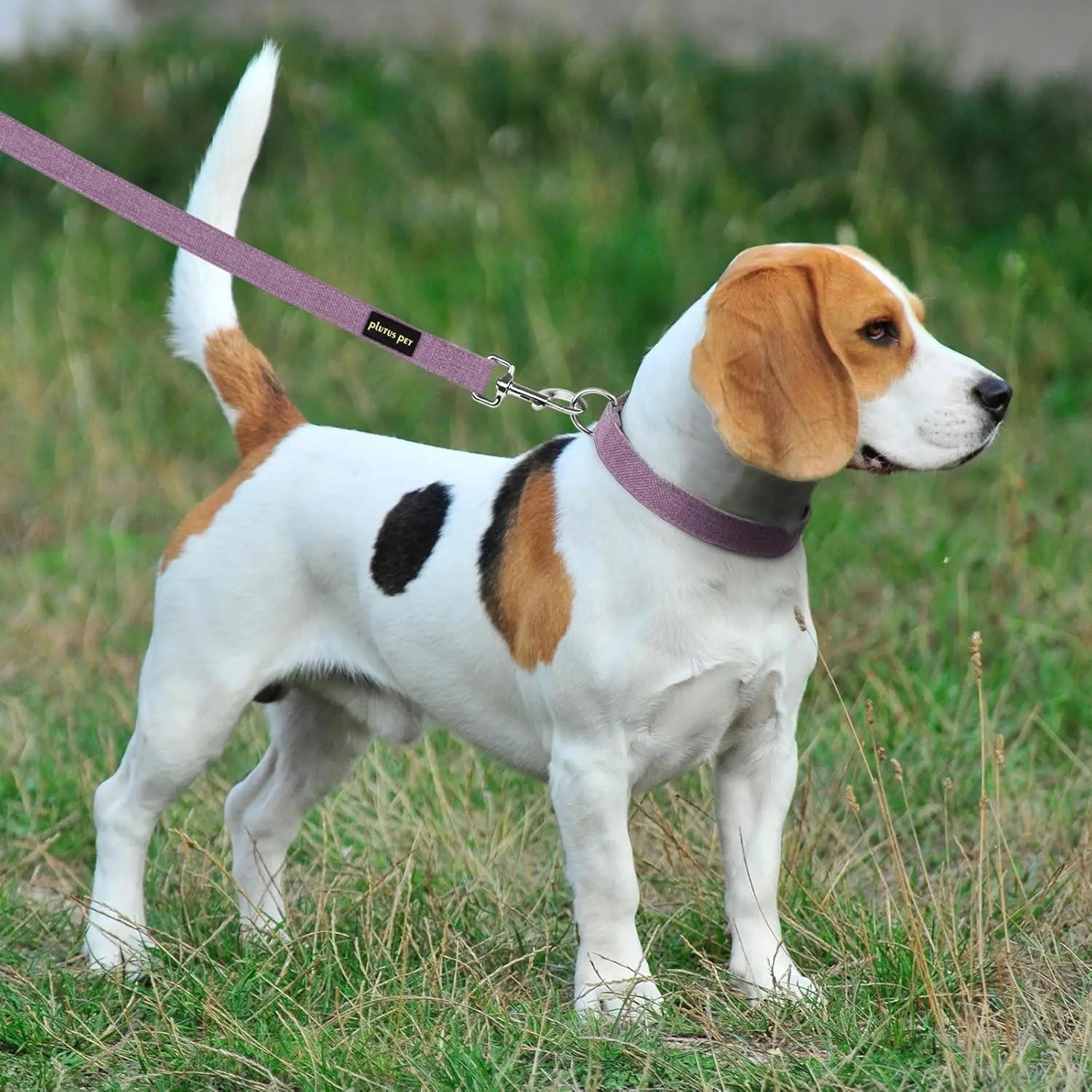 Soft Cotton Hemp Dog Collar & Leash Set