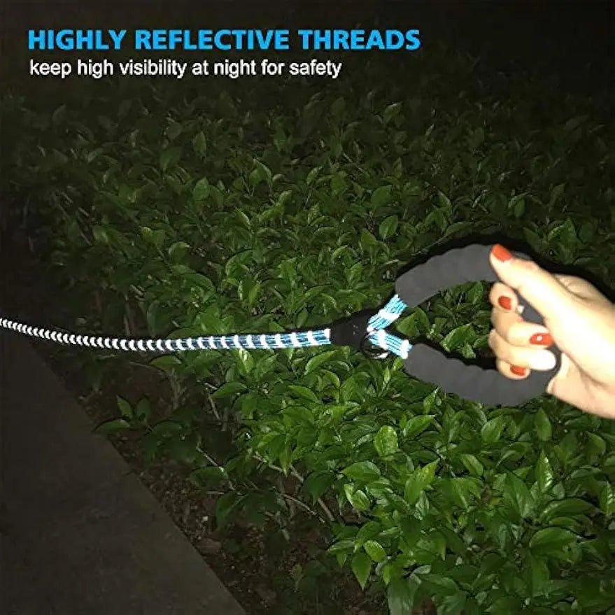 Reflective Padded Dog Collar & Leash Set