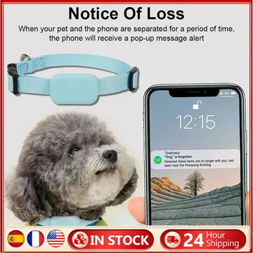 Real-Time Pet GPS Tracker Collar