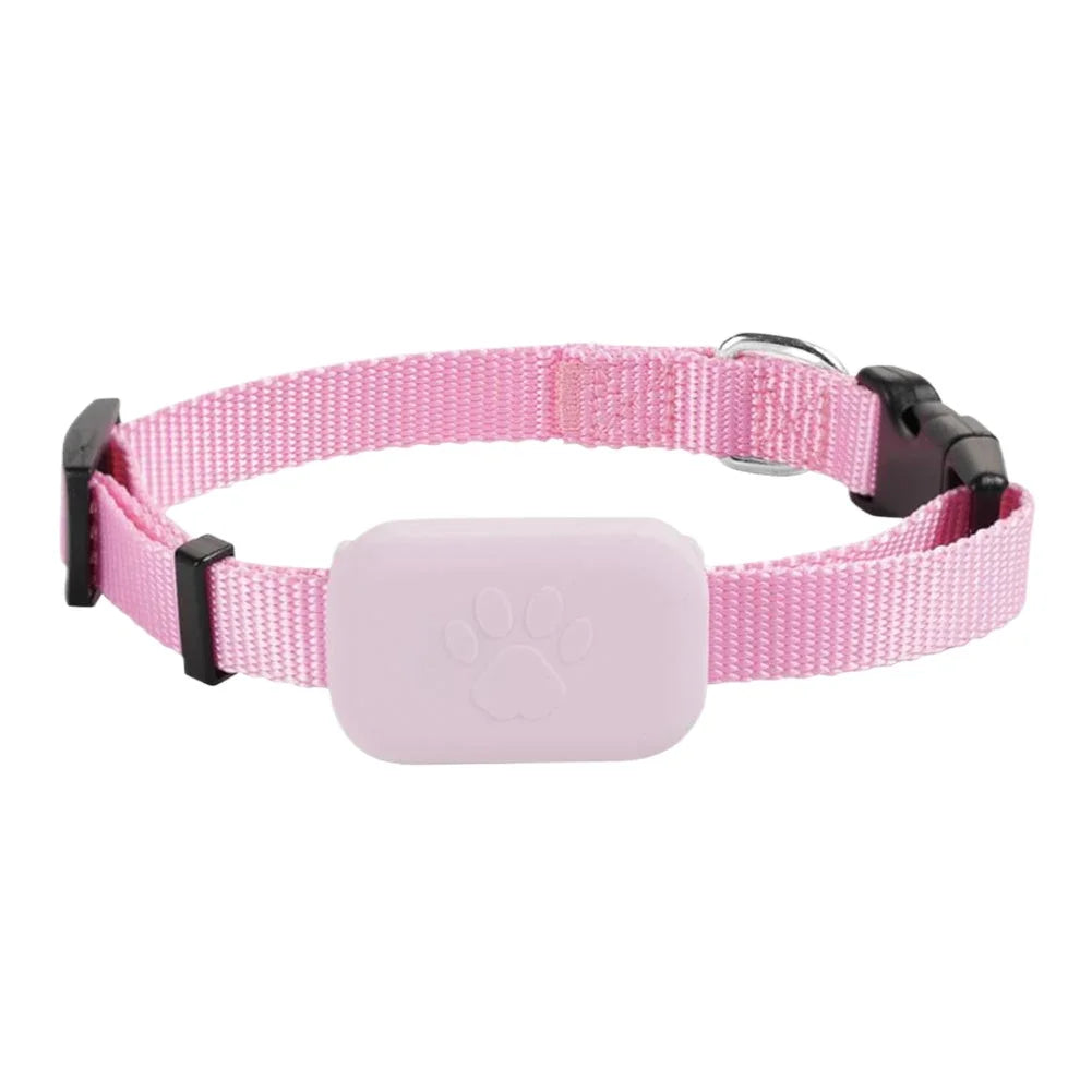 Real-Time Pet GPS Tracker Collar