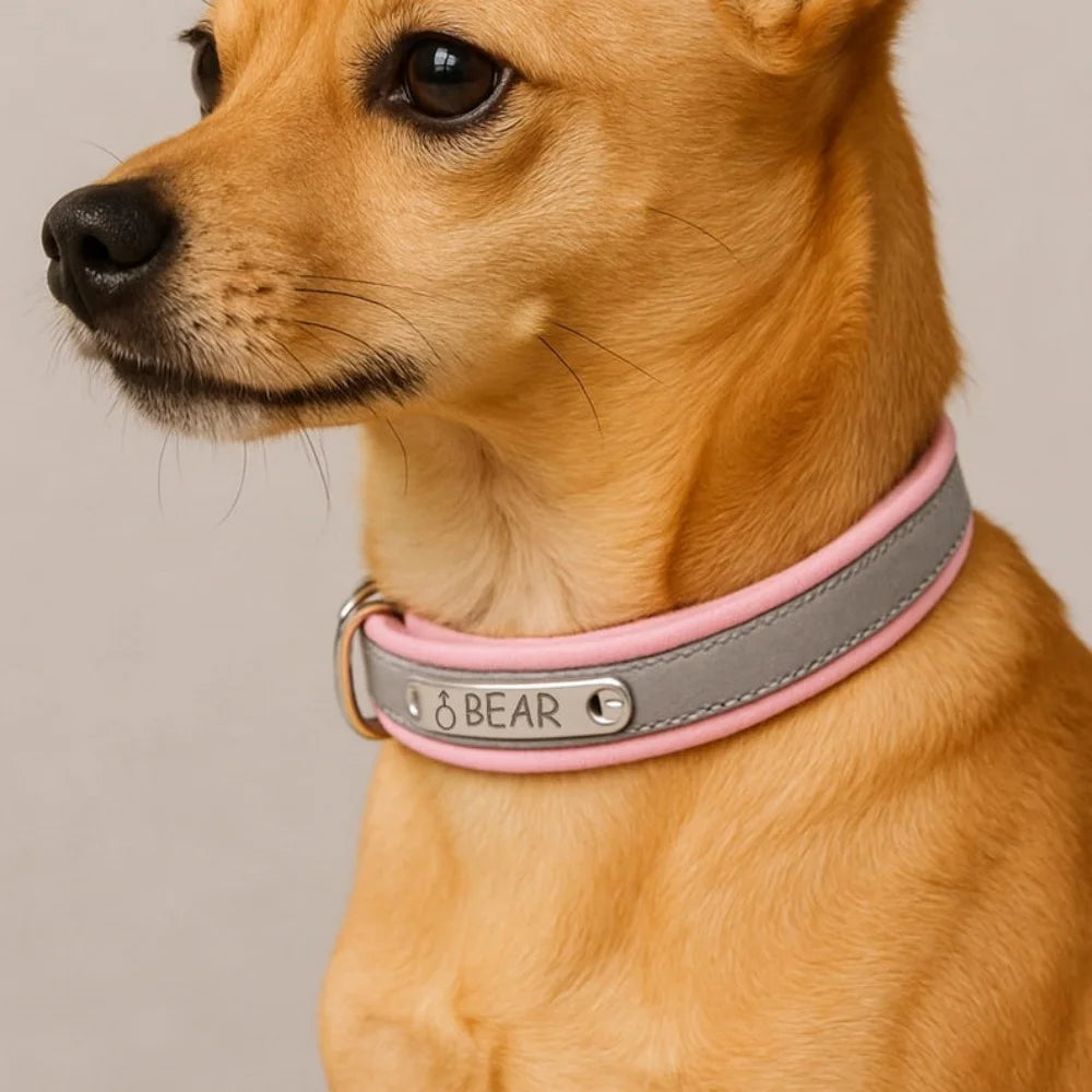 Custom Engraved PU Leather Dog Collar with Name & ID