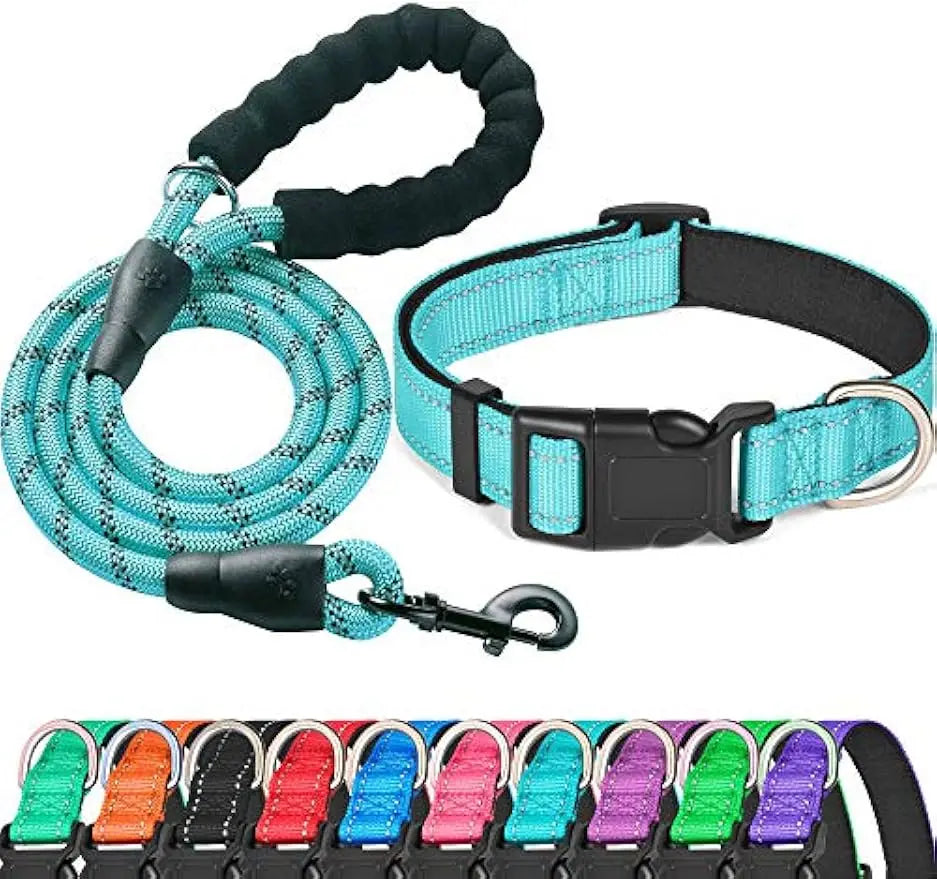 Reflective Padded Dog Collar & Leash Set