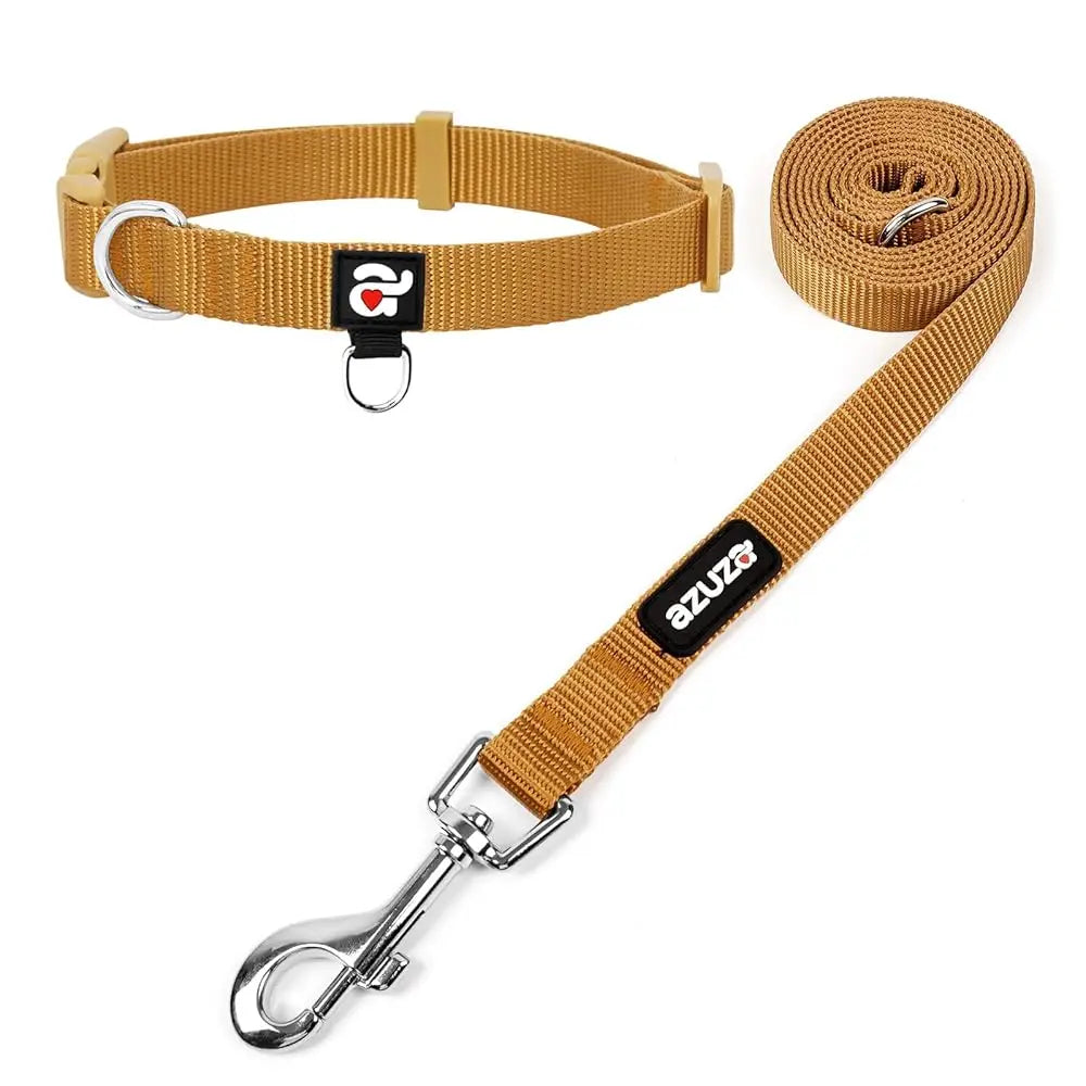 Durable Nylon Dog Collar & Leash Set