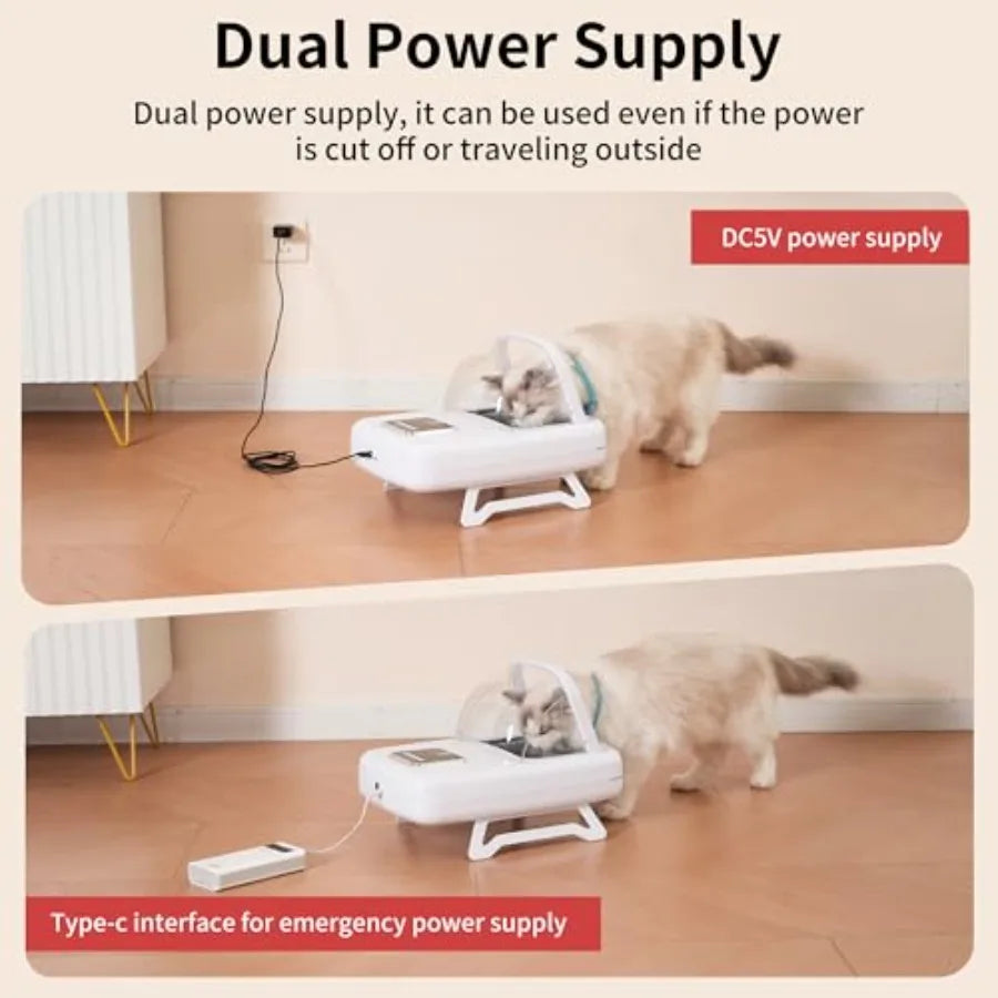 RFID Cat Feeder with Collar Sensor