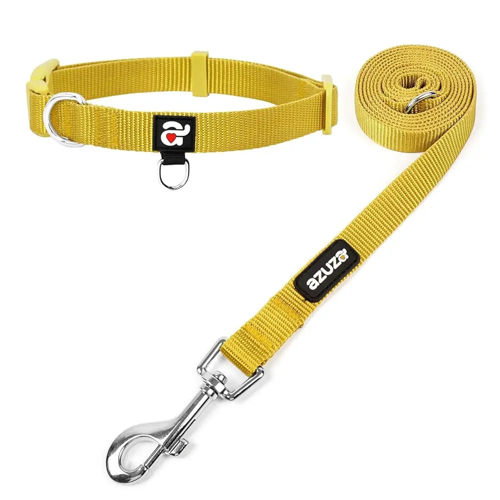 Durable Nylon Dog Collar & Leash Set
