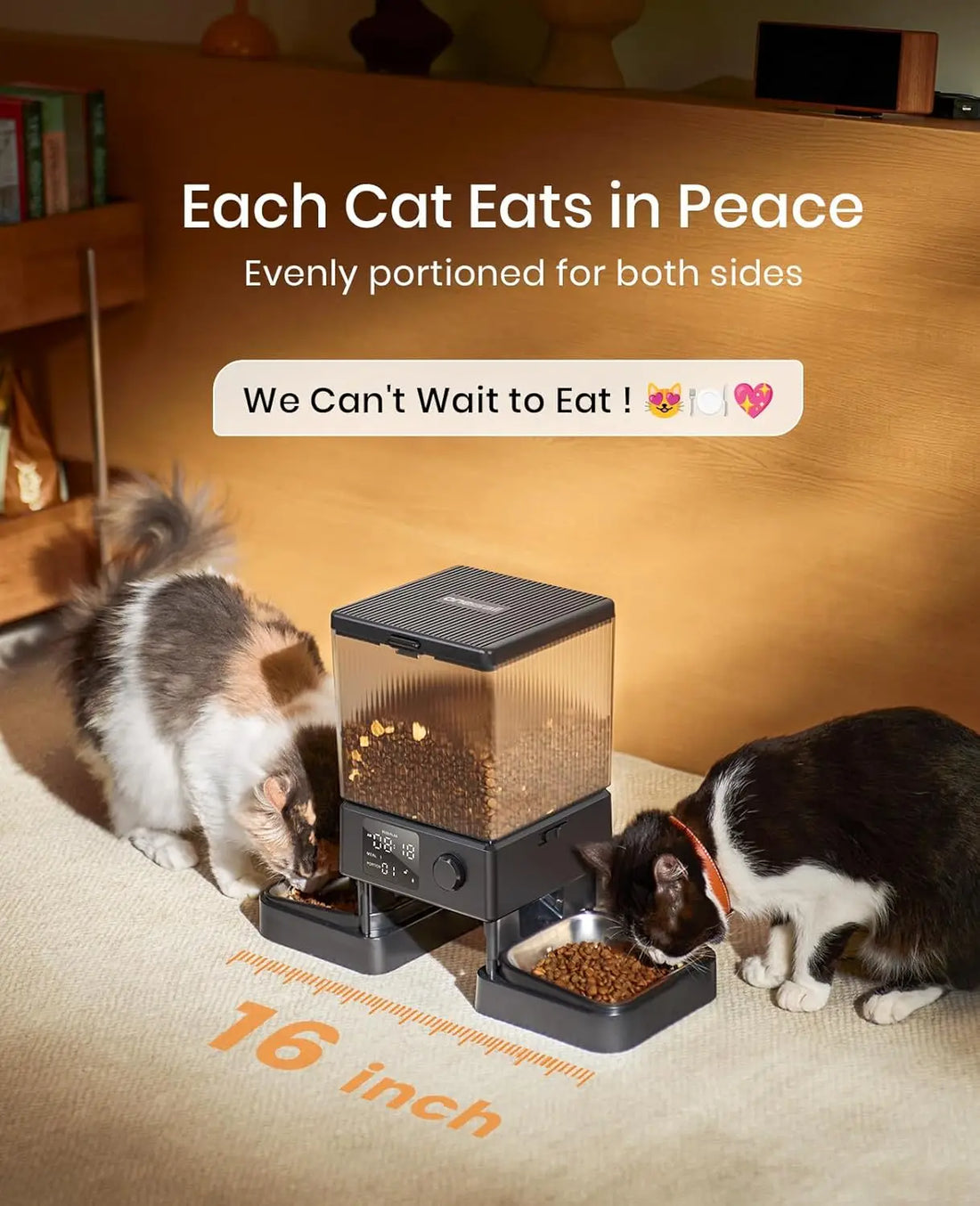 Automatic Cat Feeder for 2 Cats