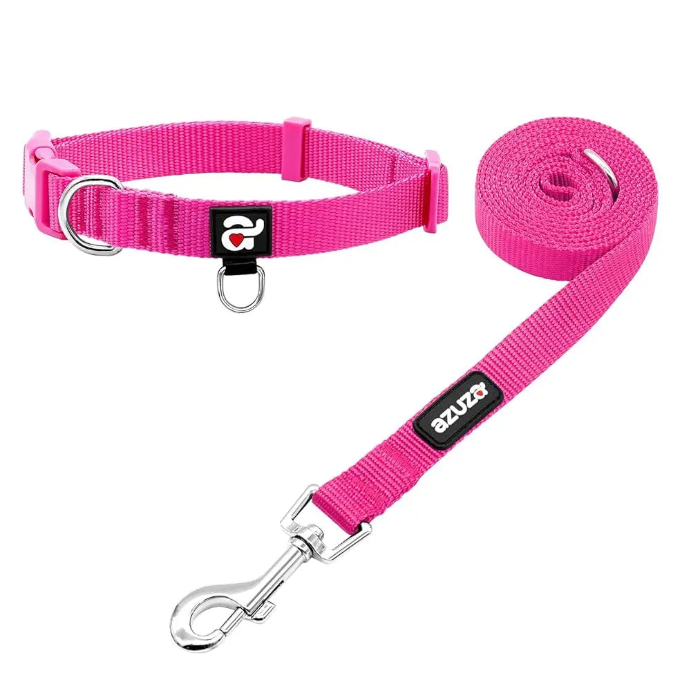 Durable Nylon Dog Collar & Leash Set