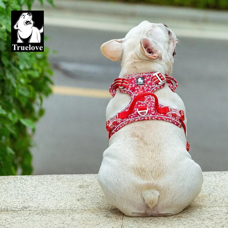 Truelove Reflective Floral Dog Harness