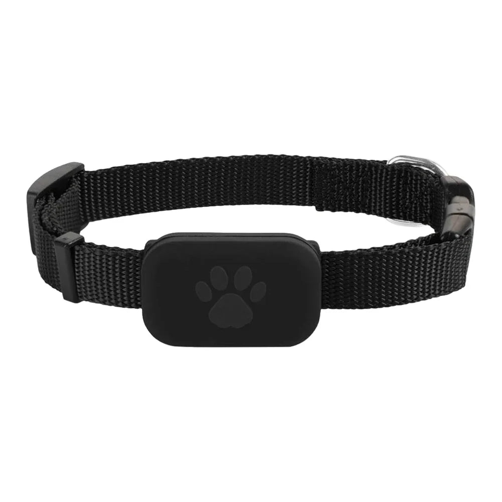 Real-Time Pet GPS Tracker Collar