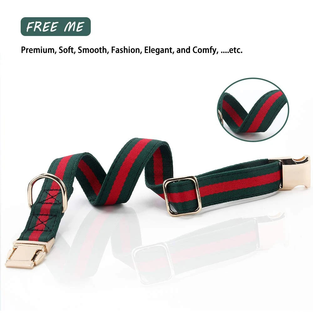 Cute Luxury Dog Collar