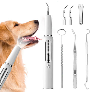 Electric Pet Ultrasonic Scaler