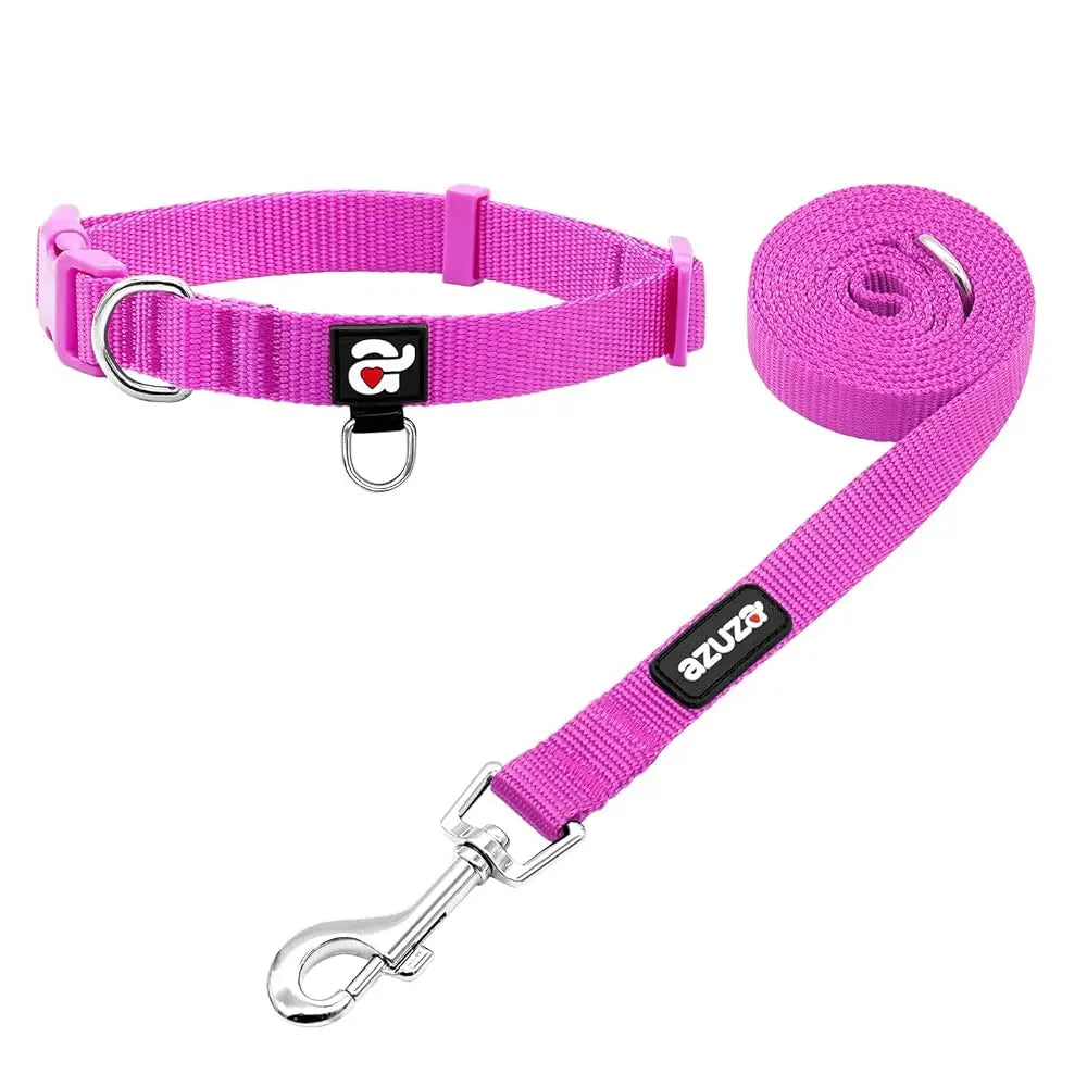 Durable Nylon Dog Collar & Leash Set