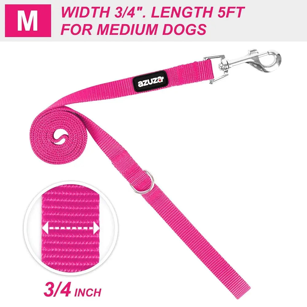 Durable Nylon Dog Collar & Leash Set