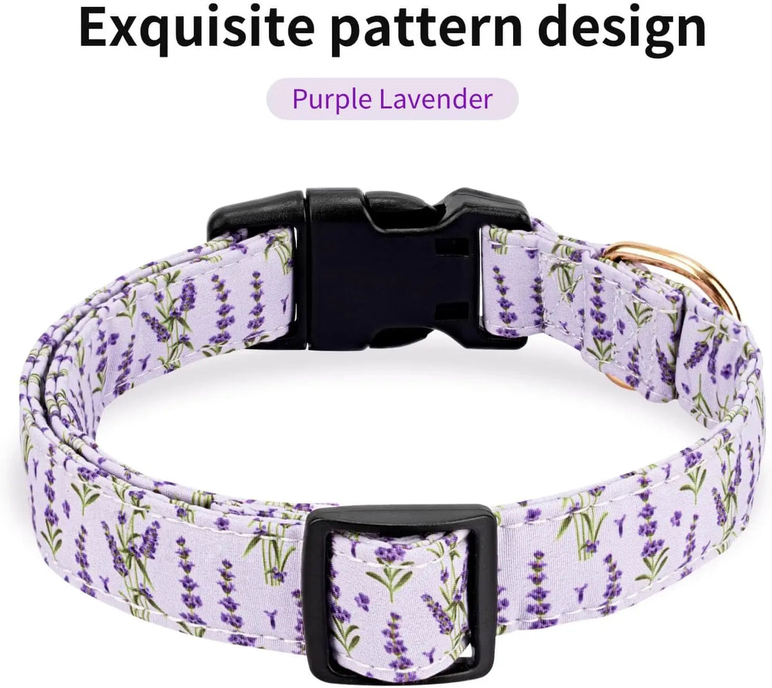 Personalized Purple Lavender Dog Collar