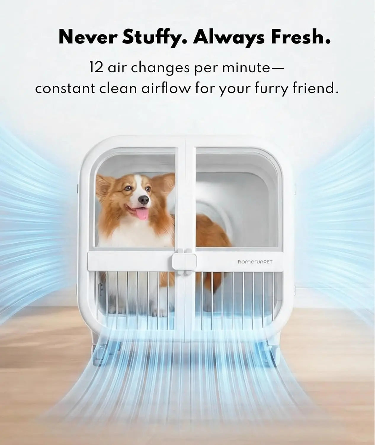 Pet Dryer Box