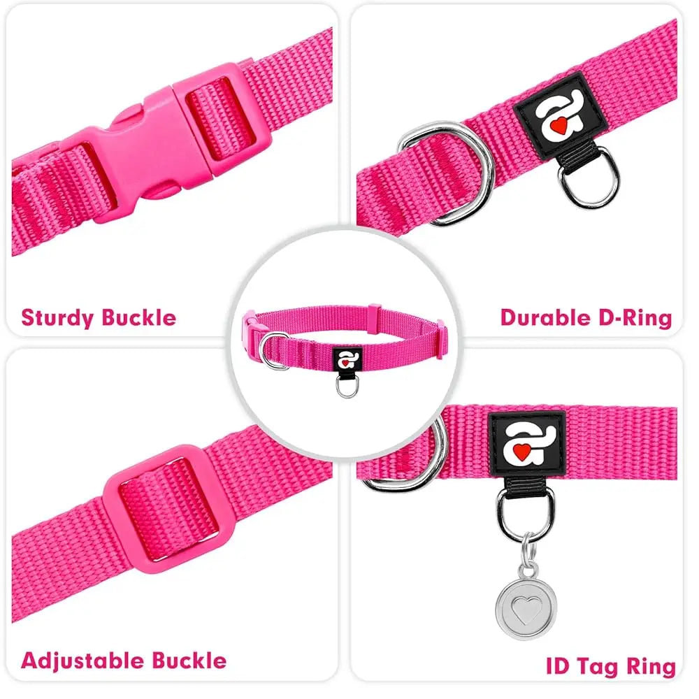 Durable Nylon Dog Collar & Leash Set