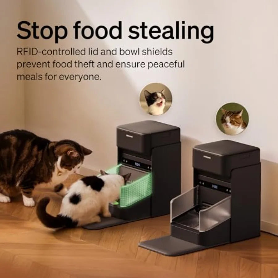 Cat Feeder with Collar Sensor